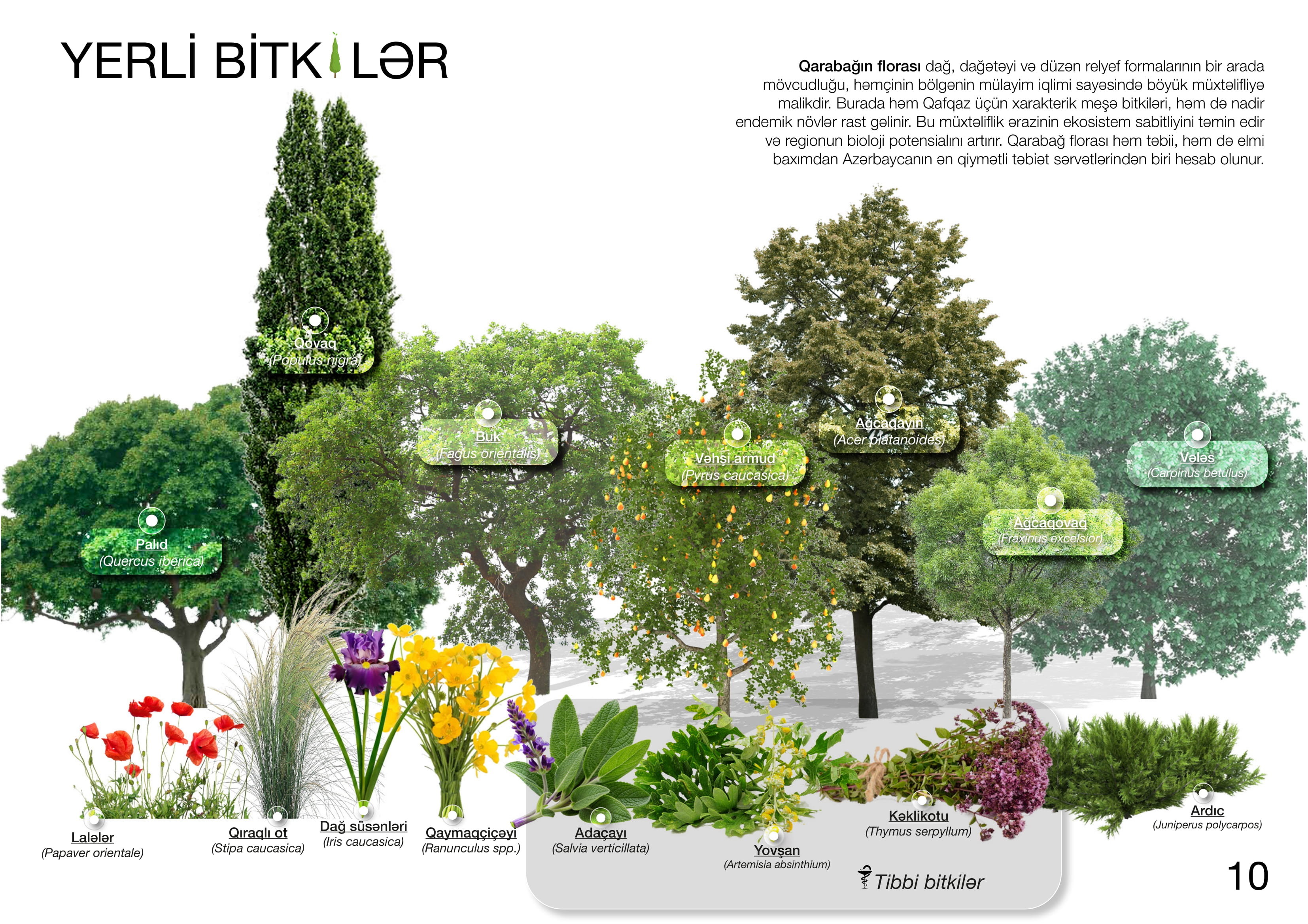 SƏRSƏNG项目丨阿塞拜疆-23