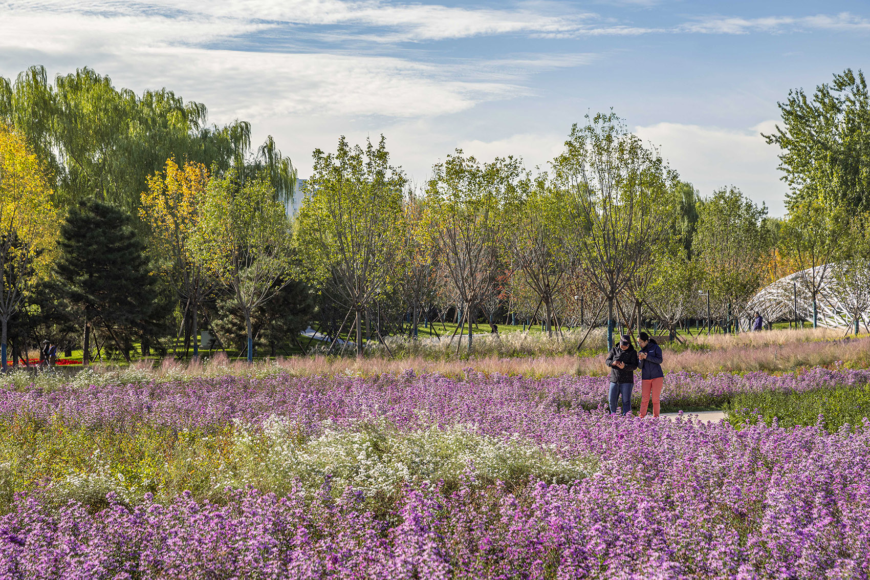 北小河公园樱花谷环境改造提升设计丨中国北京丨埊木设计（CAFA·A城市艺术创新中心）-42