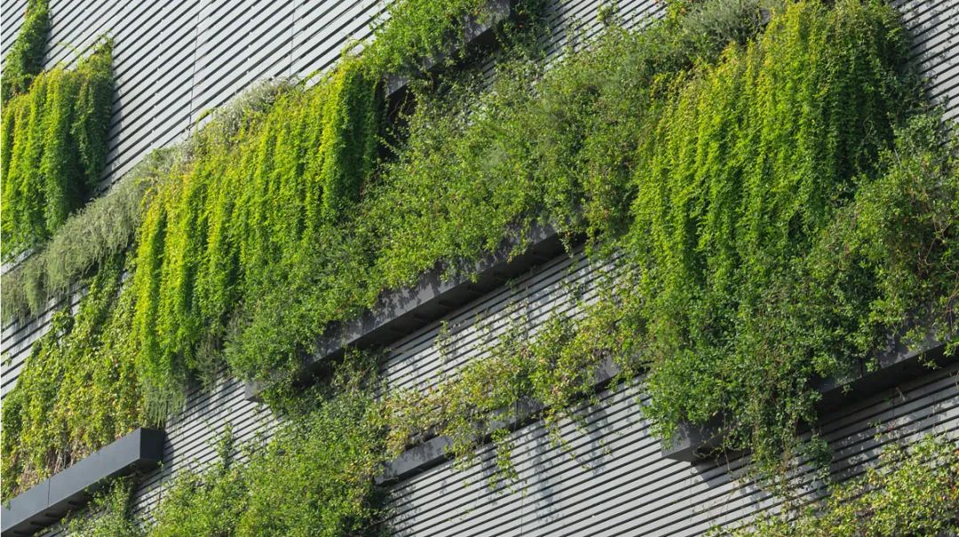 70 Rainey 空中花园丨美国奥斯汀丨Design Workshop-16