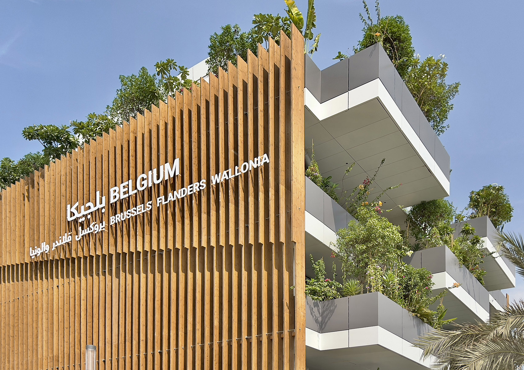 绿色拱门&2020迪拜世博会比利时馆丨阿联酋迪拜-16