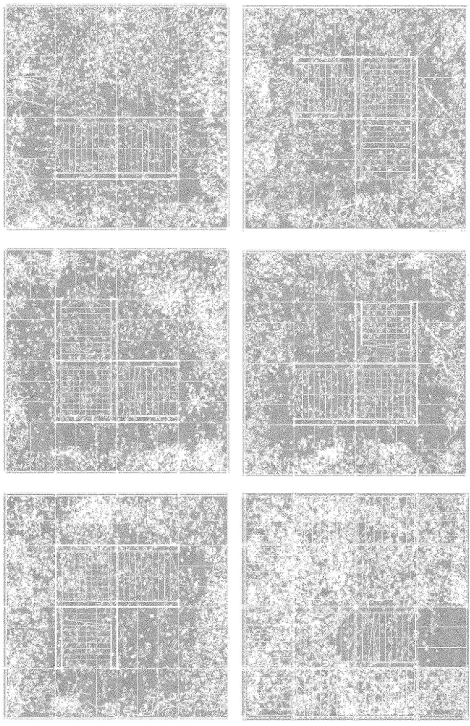 绿色培育花园 · 蒂米什瓦拉的1306棵植物丨罗马尼亚蒂米什瓦拉丨MAIO事务所-46