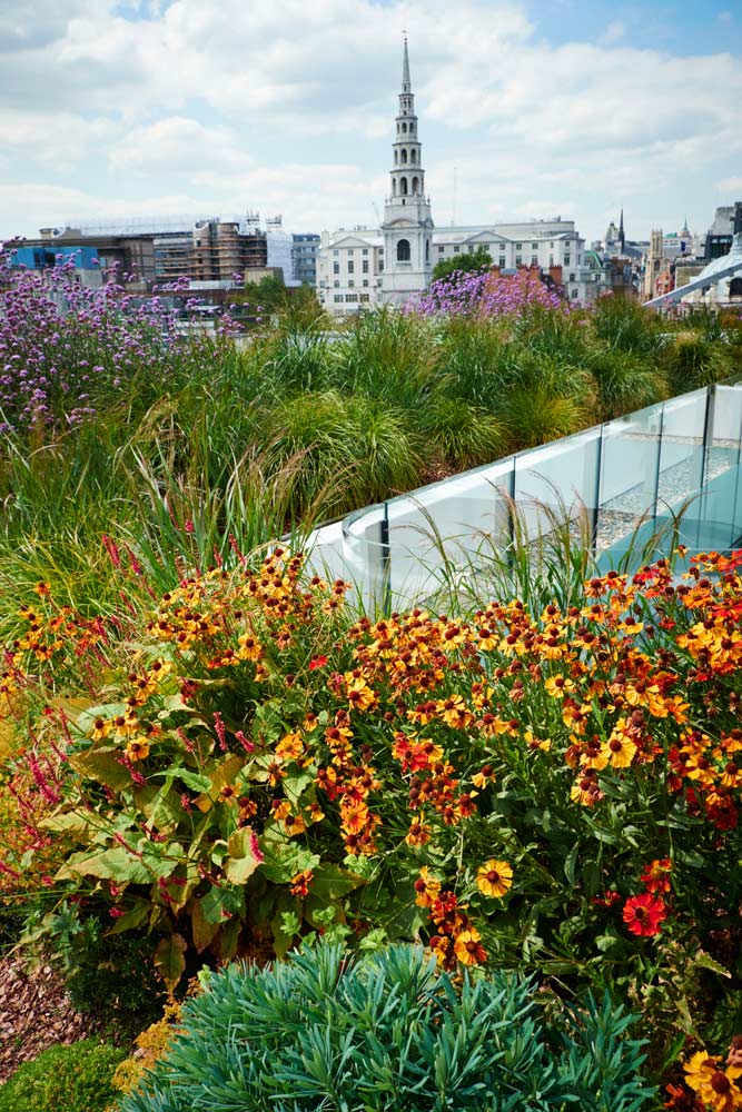 都市绿洲 · 伦敦 New Ludgate 五层露台设计-17