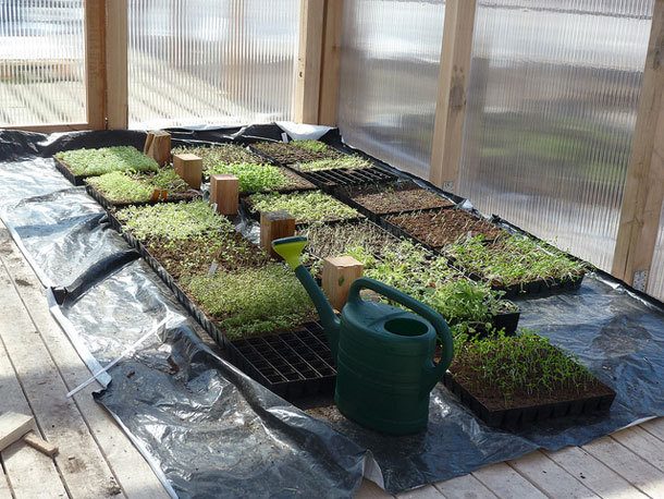 Turn table城市农场及餐厅丨芬兰赫尔辛基-20