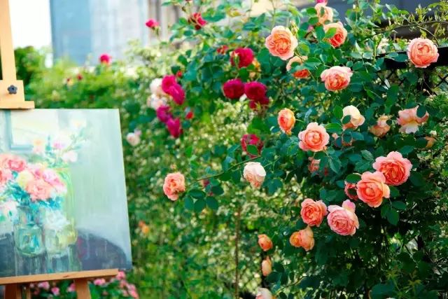 火遍魔都超700㎡网红花园，看过的人都被圈粉-139