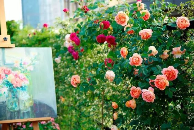 火遍魔都超700㎡网红花园,看过的人都被圈粉-139