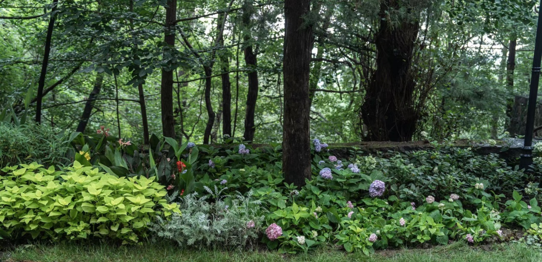 “百年中法友谊的见证者”——北林地景助力贝家花园焕新开放-30