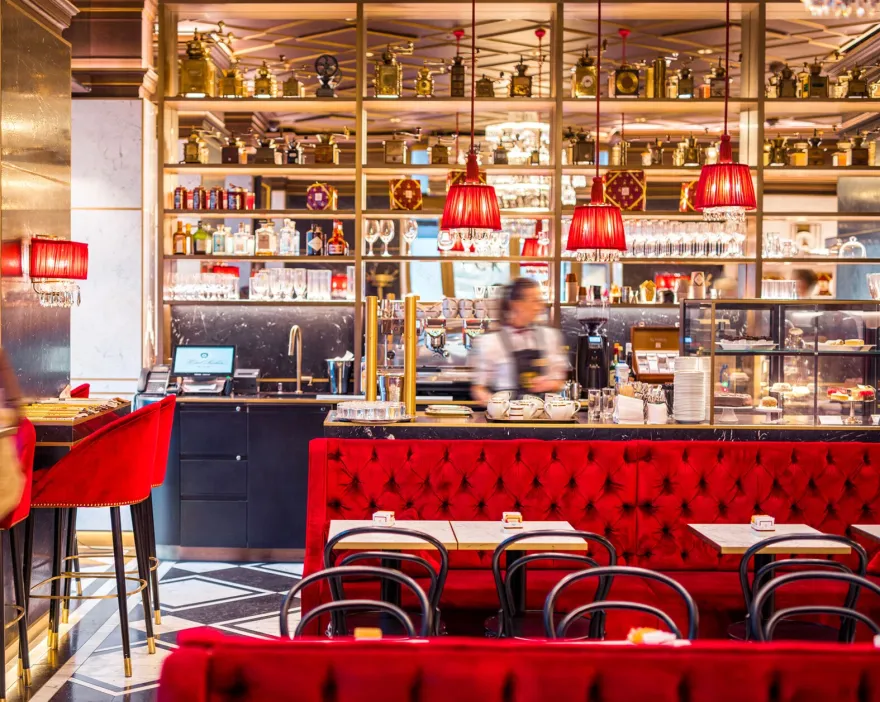 维也纳传奇酒店 Sacher Eck 翻新-52