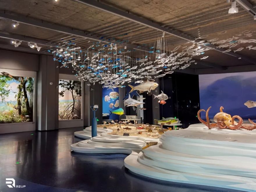 瑞普照明I玉环博物馆-15