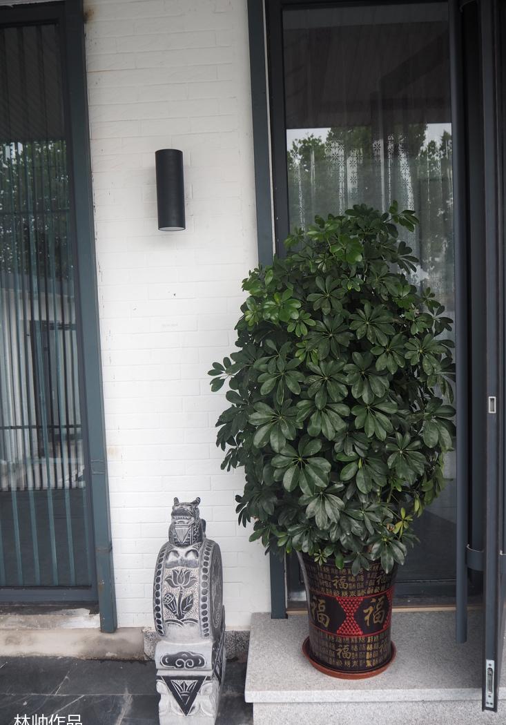 北戴河瑜伽小院——林设计师打造自然禅意空间-44