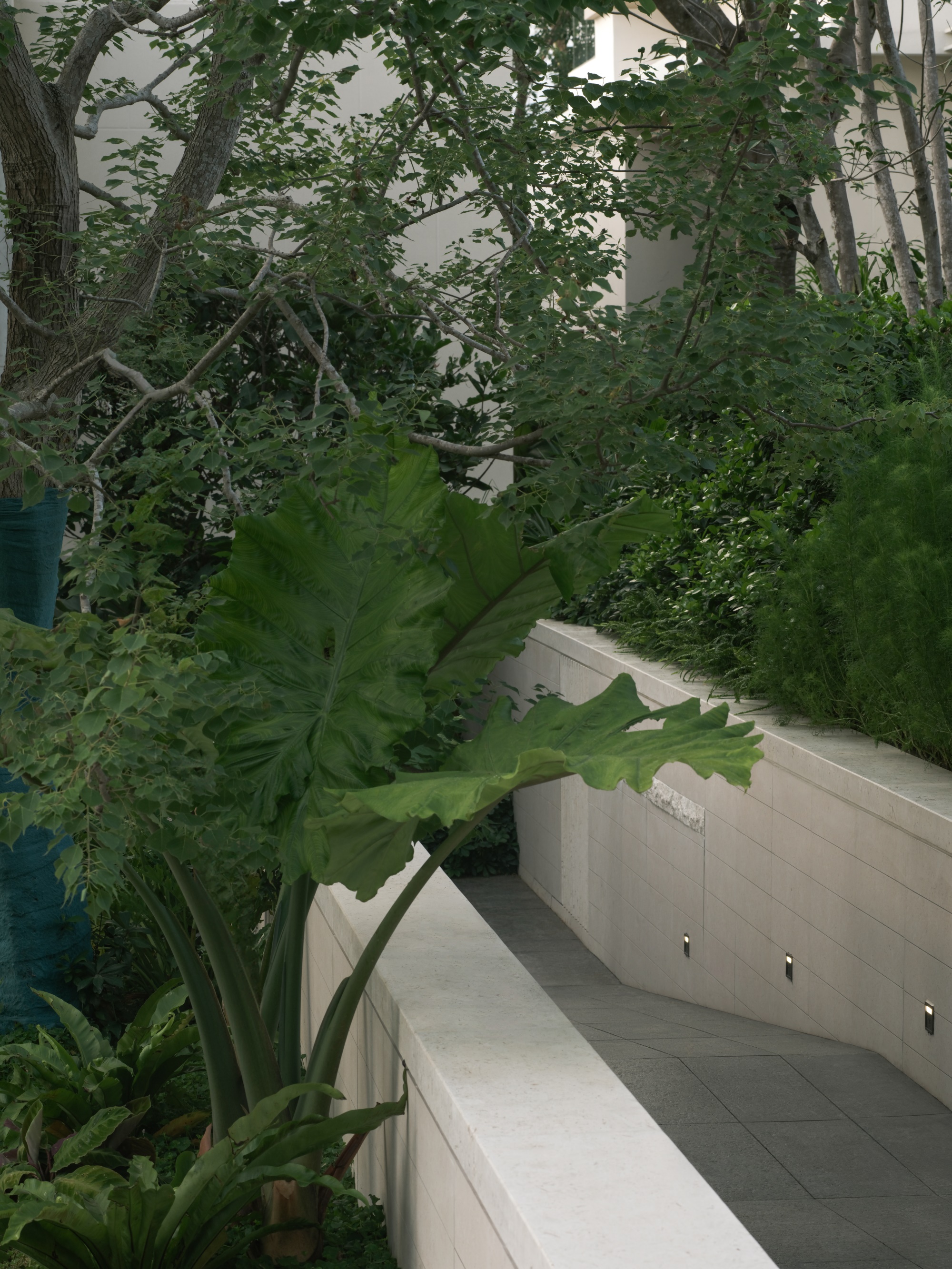 三亚招商·林屿间丨中国三亚丨成都麦微景观建筑事务所-137