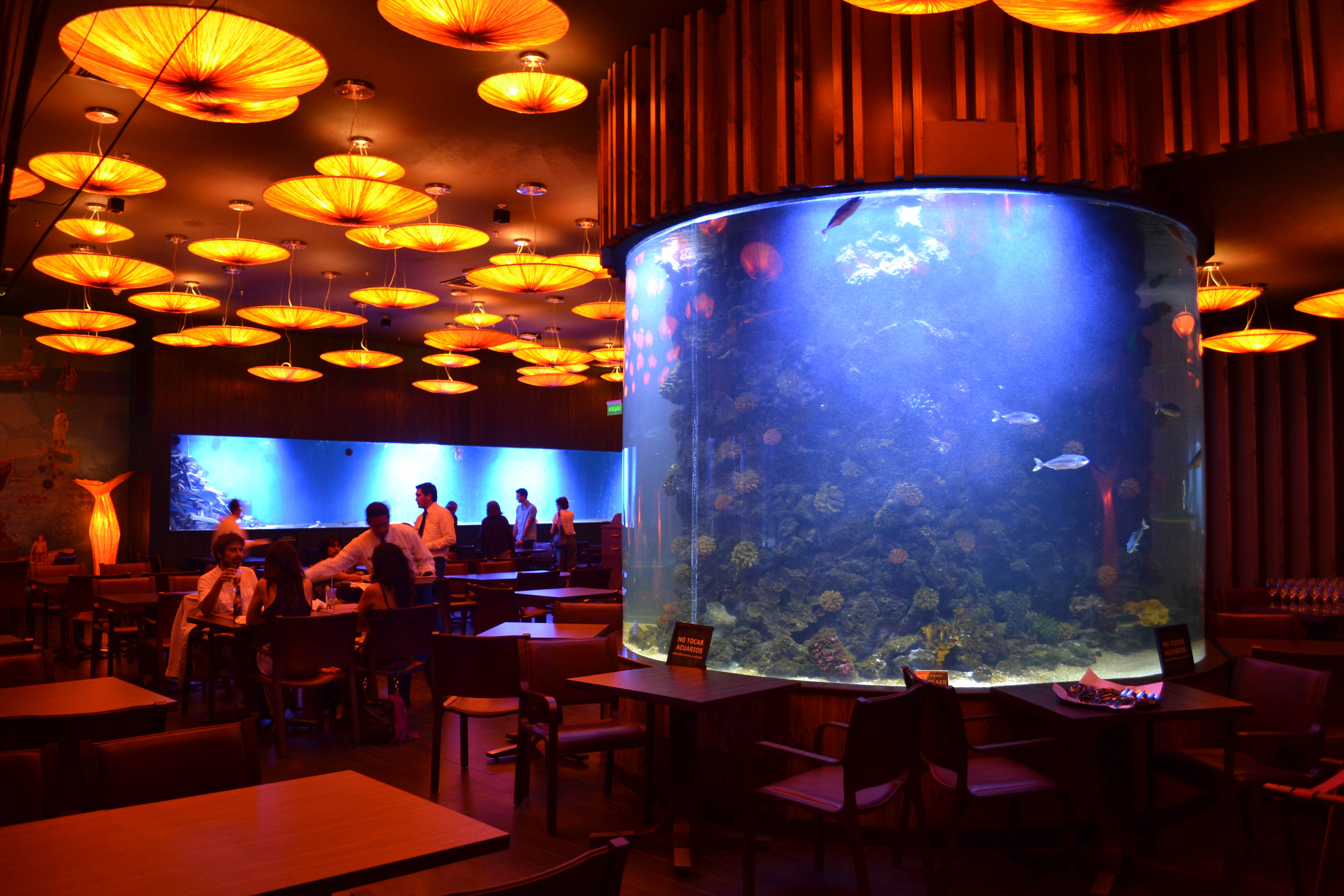 科斯塔米亚餐厅水族馆丨智利圣地亚哥-2