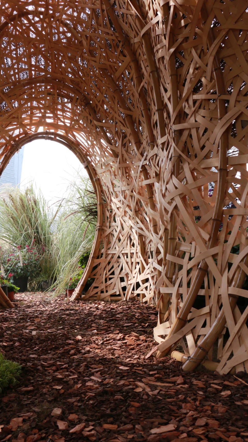 秘境花园 | 树洞中的心灵秘境-32