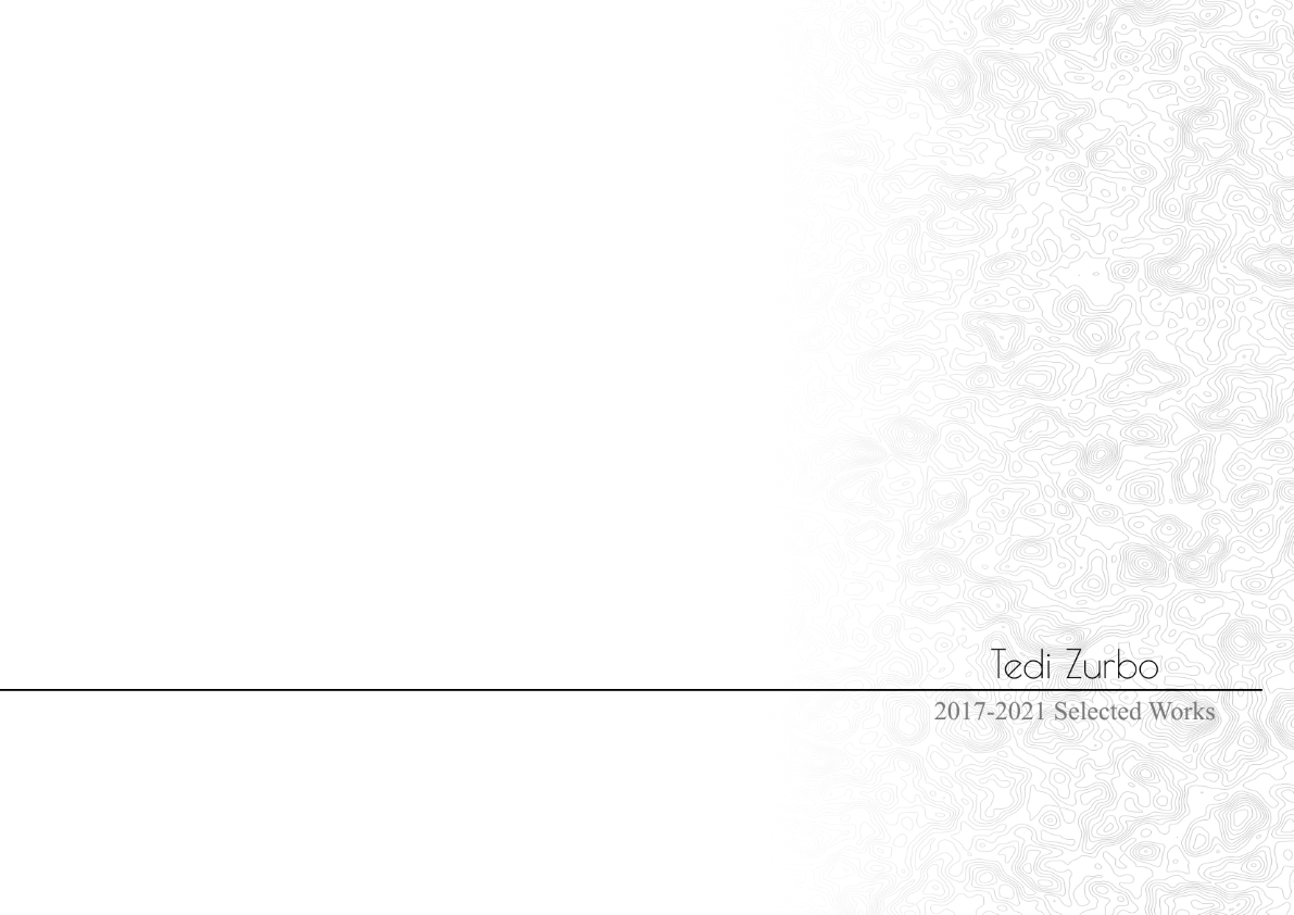 TEDI ZURBO | SELECTED WORKS | 2017-2021-0