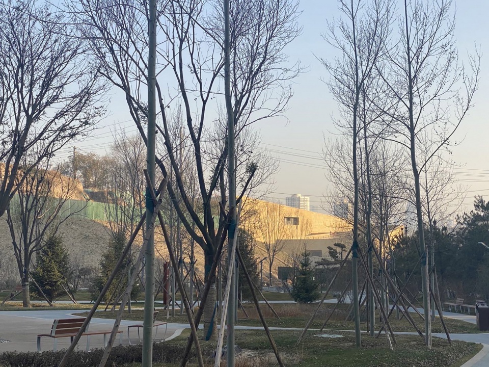 西宁文化地标 | 绿色技术融入地域建筑-21