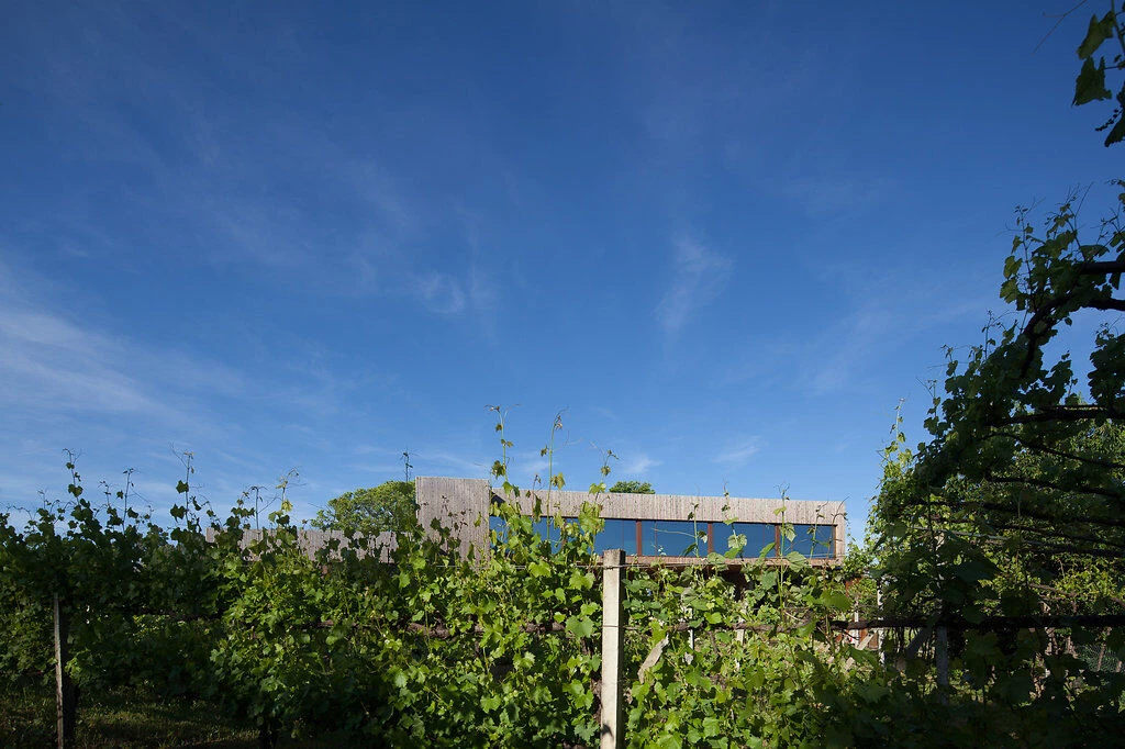 葡萄牙酒庄酒店-25