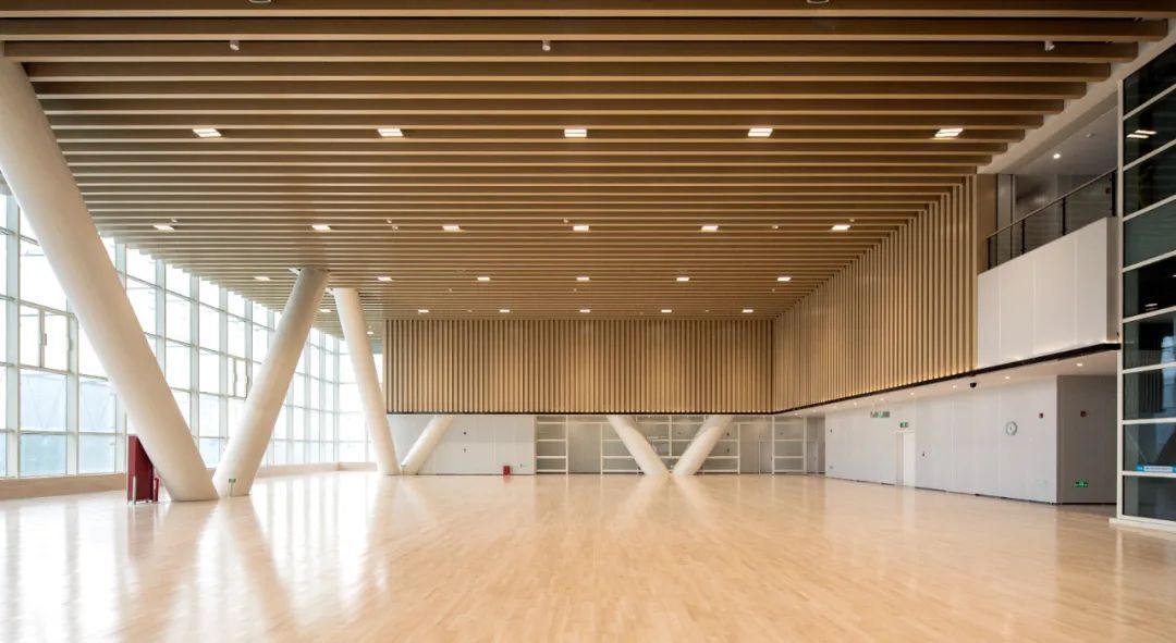 杭州奥体中心综合训练馆丨中国杭州丨法国 AREP 设计集团+杭州市建筑设计研究院有限公司-20