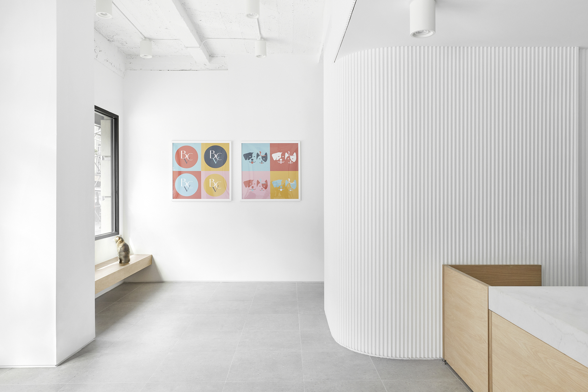 Brilliant Veterinary Care 宠物诊所丨美国曼哈顿丨Group Projects Architecture-19