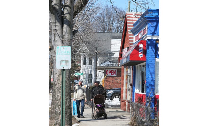 MERRICK NEIGHBORHOOD TORNADO RECOVERY PLAN - Dodson & Flinker - Landscape Architecture and Planning-3