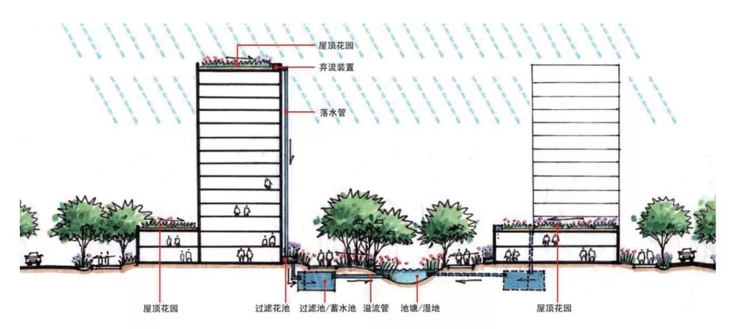 西交利物浦大学太仓校区-50