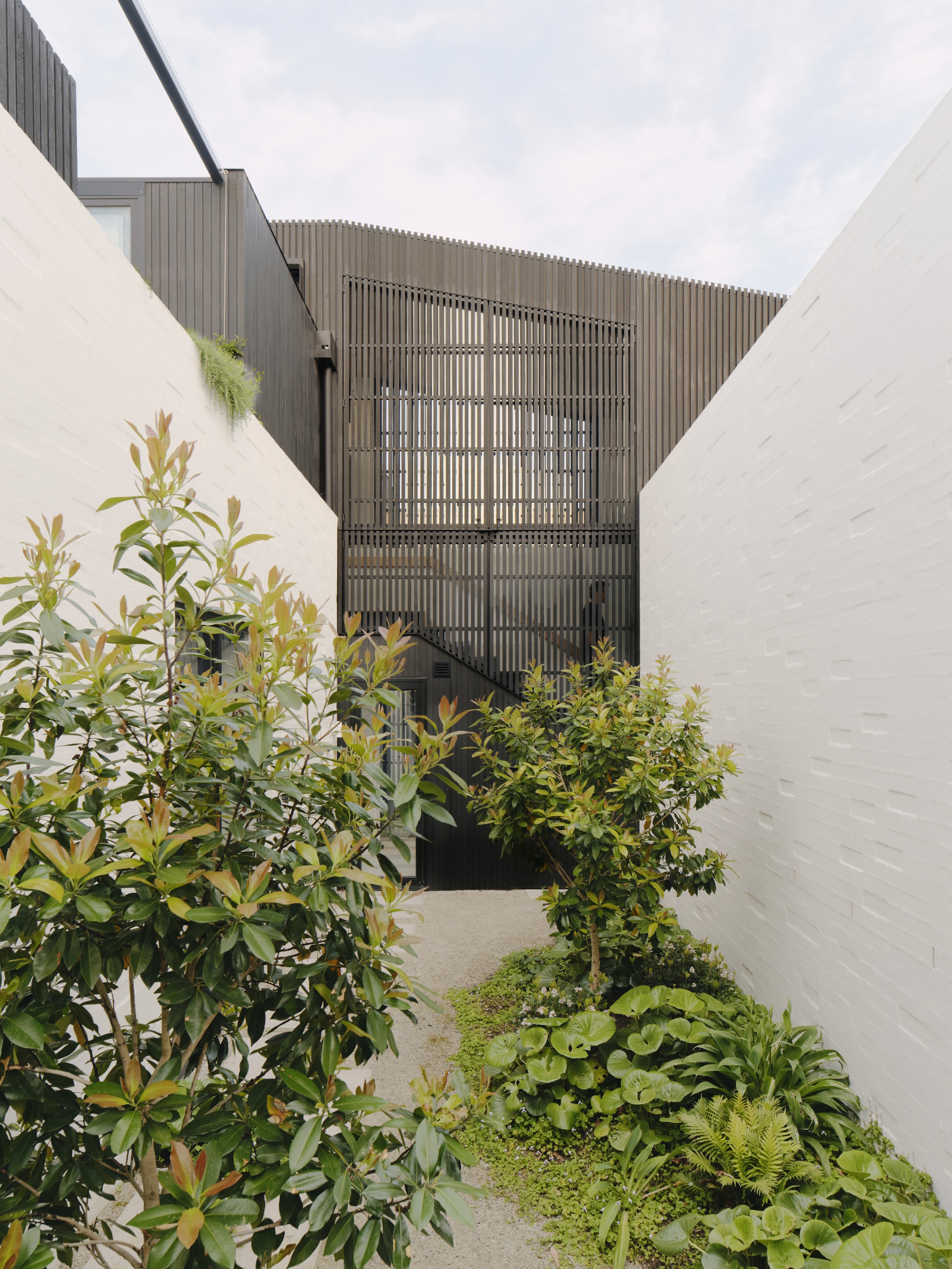 场边房屋丨Australia丨Tom Robertson Architects-20