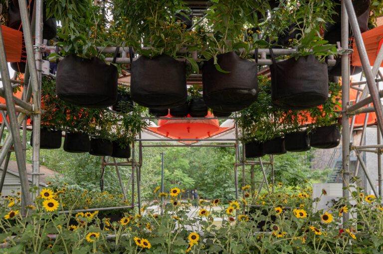 宝利大自然——城市生态系统

注：POLINATURE可能是一个品牌名或特定名称，这里音译为宝利大自然，如果它有特定规范译法，请结合实际情况调整 丨美国丨未明确提及主导设计方-47