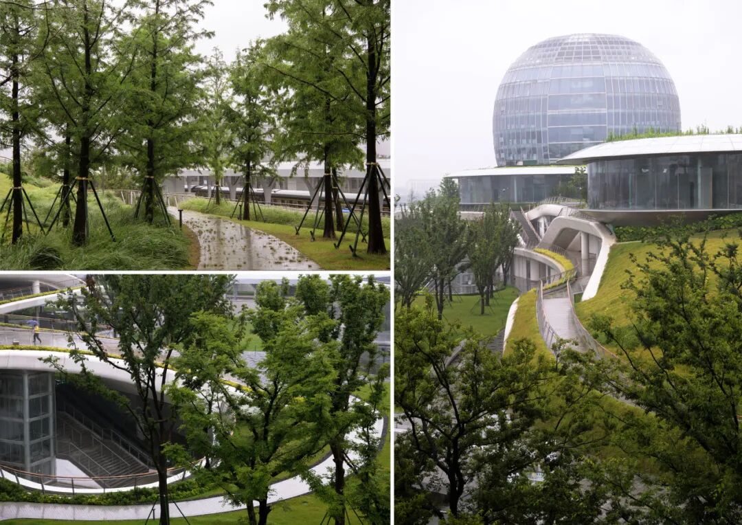 ASLA获奖作品 连接过去和未来的城市绿洲——嘉兴火车站景丨中国嘉兴丨致舍景观-91