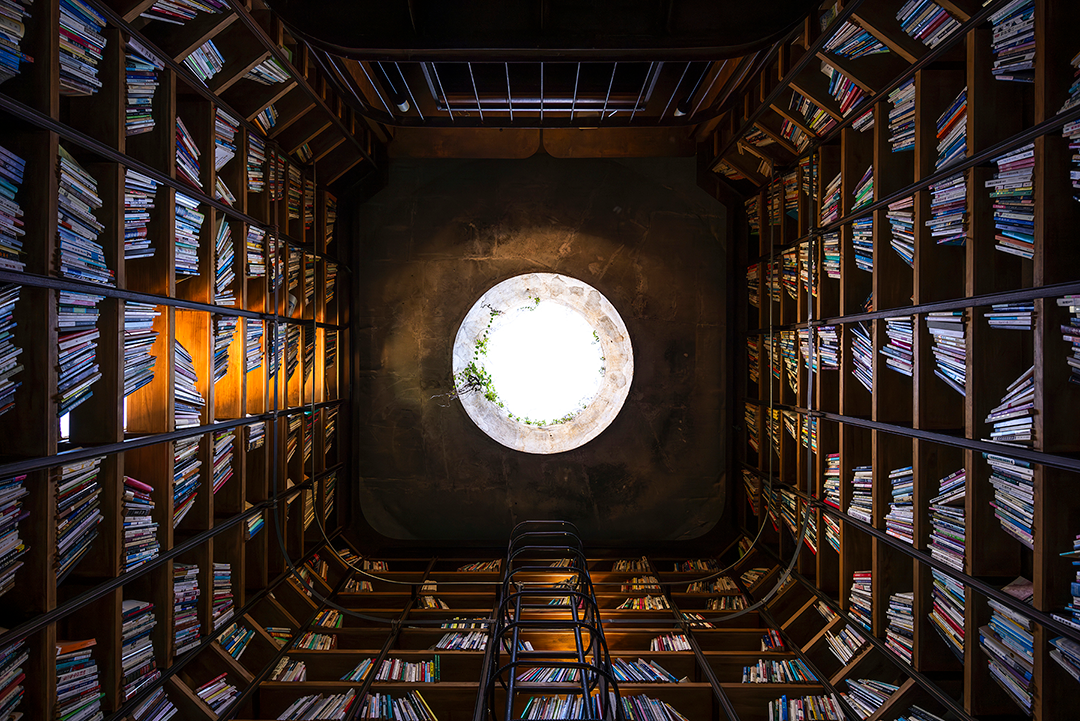 xiān氙建筑/南方的院子：东南村8号-447