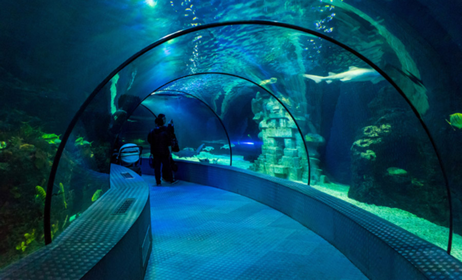 水族馆.海洋馆设计案例效果图                     -1