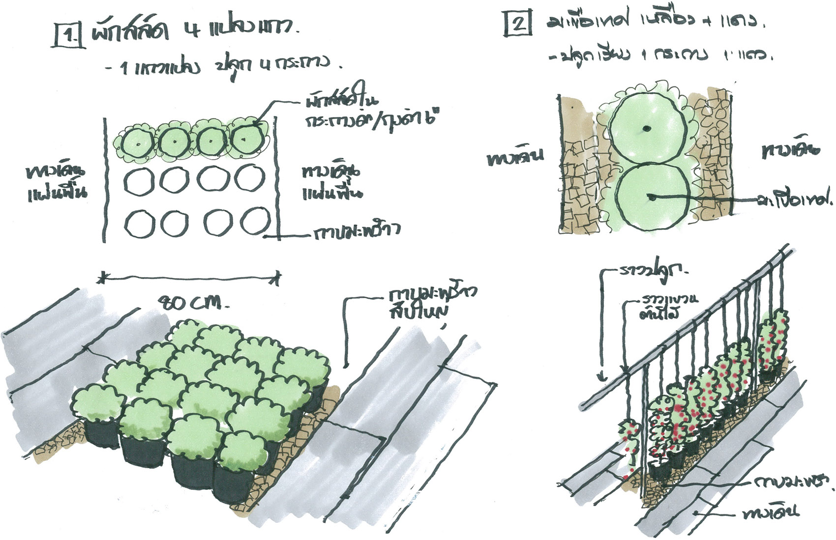 都市农场，泰国 / Integrated Field Co.,Ltd.-98