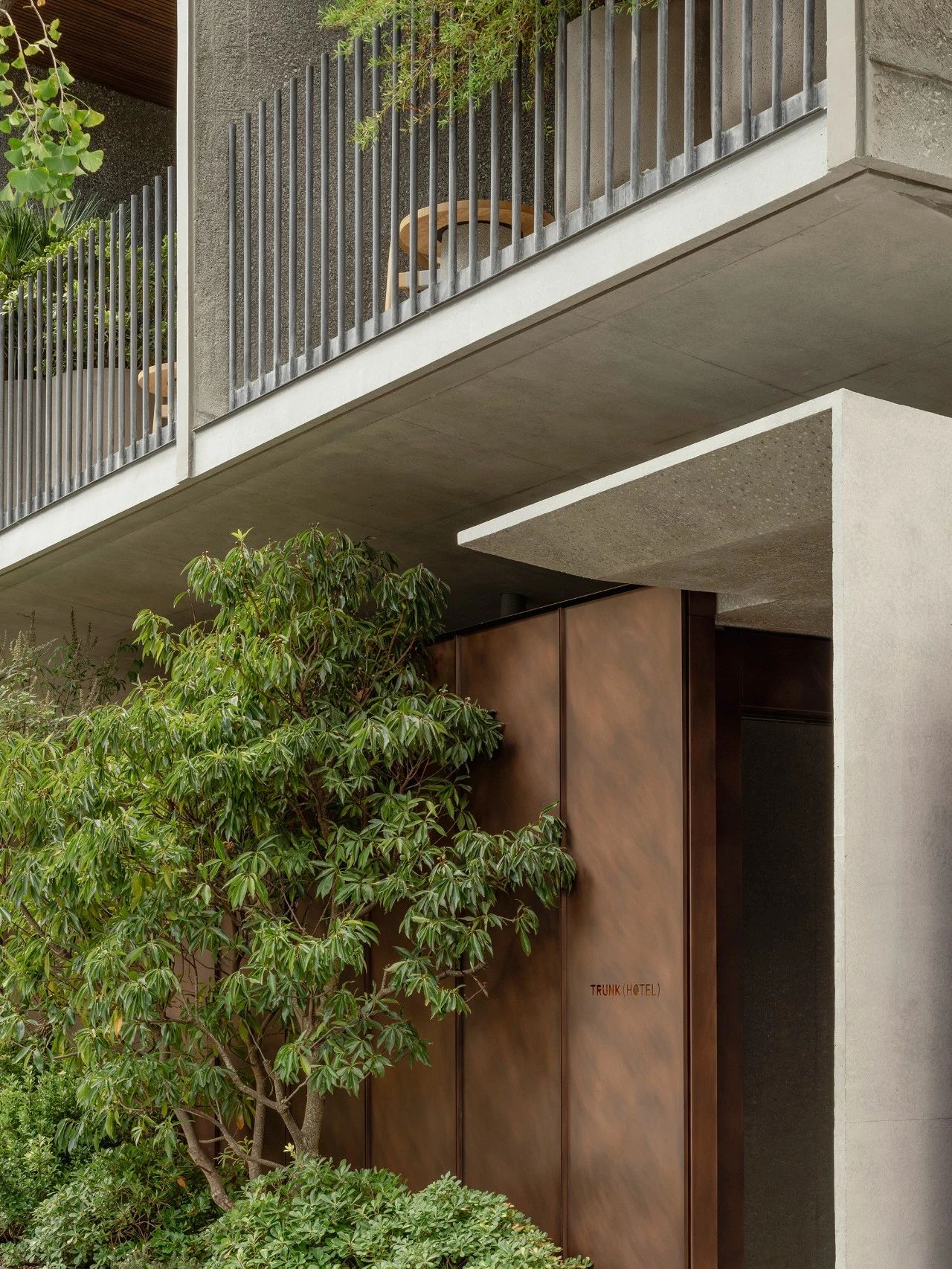 代代木公园树干酒店丨Keiji Ashizawa-5