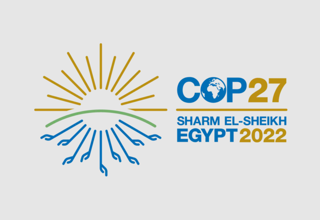 Cop27- Green Zone (Mental flame X Dino activations)-29