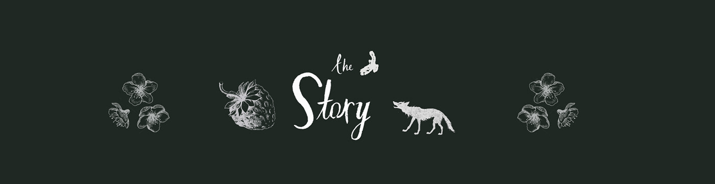 草莓盗贼主题卧室设计-12