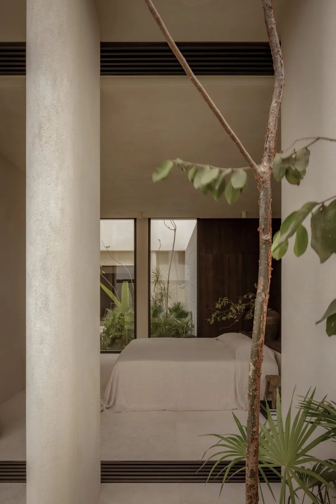 墨西哥海边亲生物住宅 · Casa Los Tigres House-41