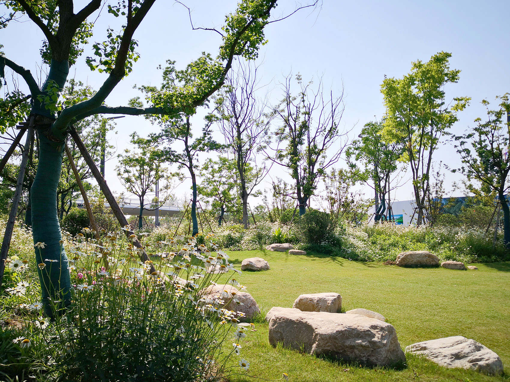 新加坡·南京生态科技岛-81