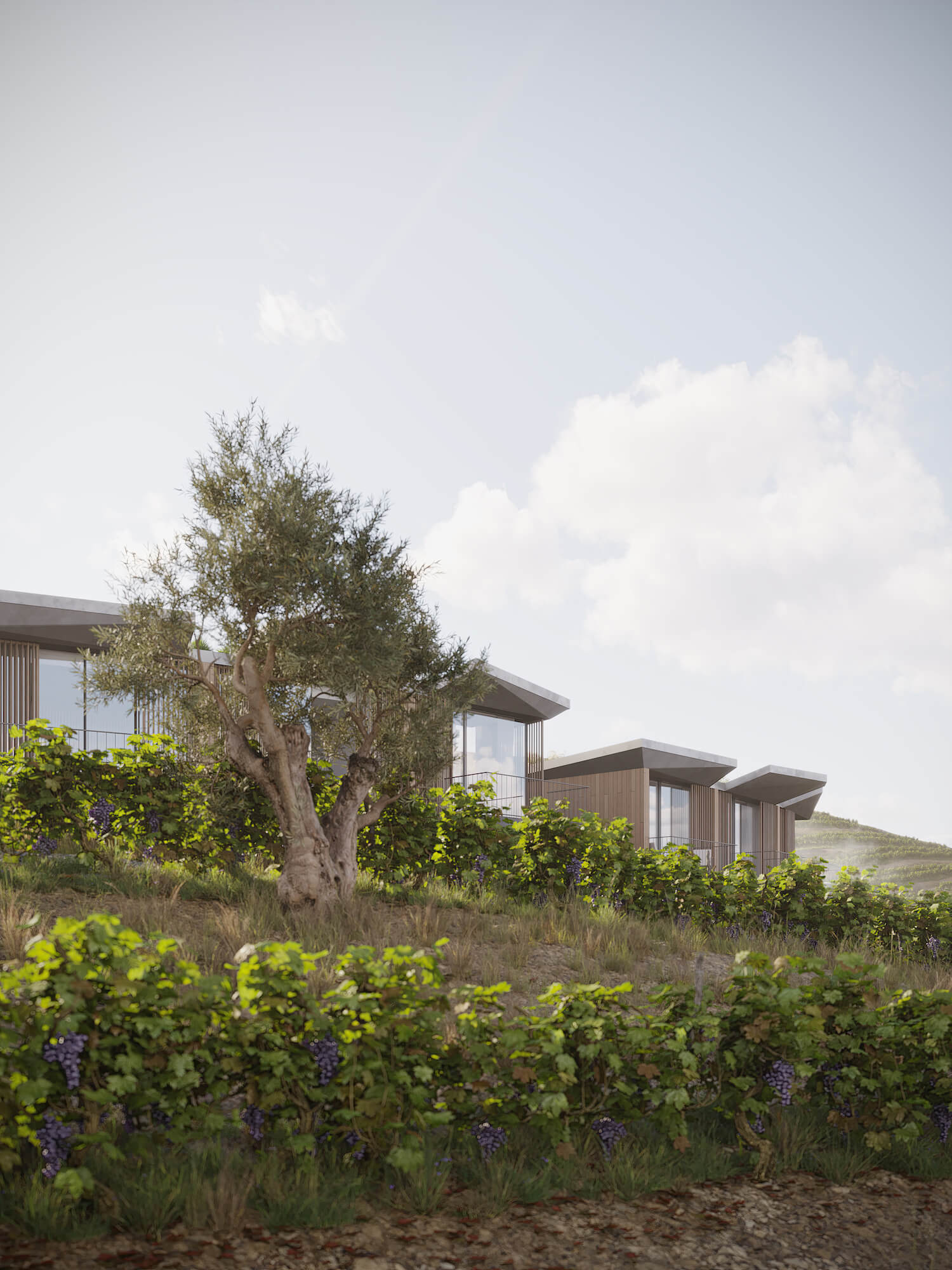 萨拉马加约度假屋丨葡萄牙丨MJARC Arquitetos Associados Lda-5