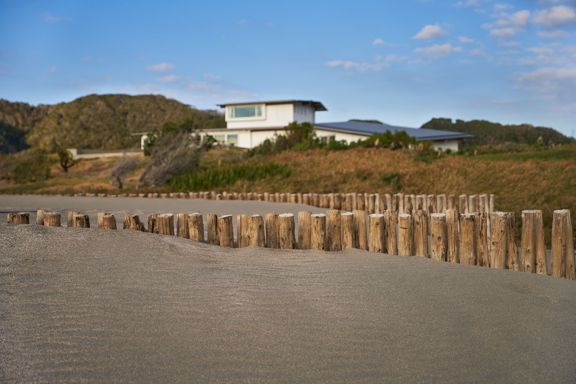 Logs on the Dune Hiroshi Nakamura - NAP-6