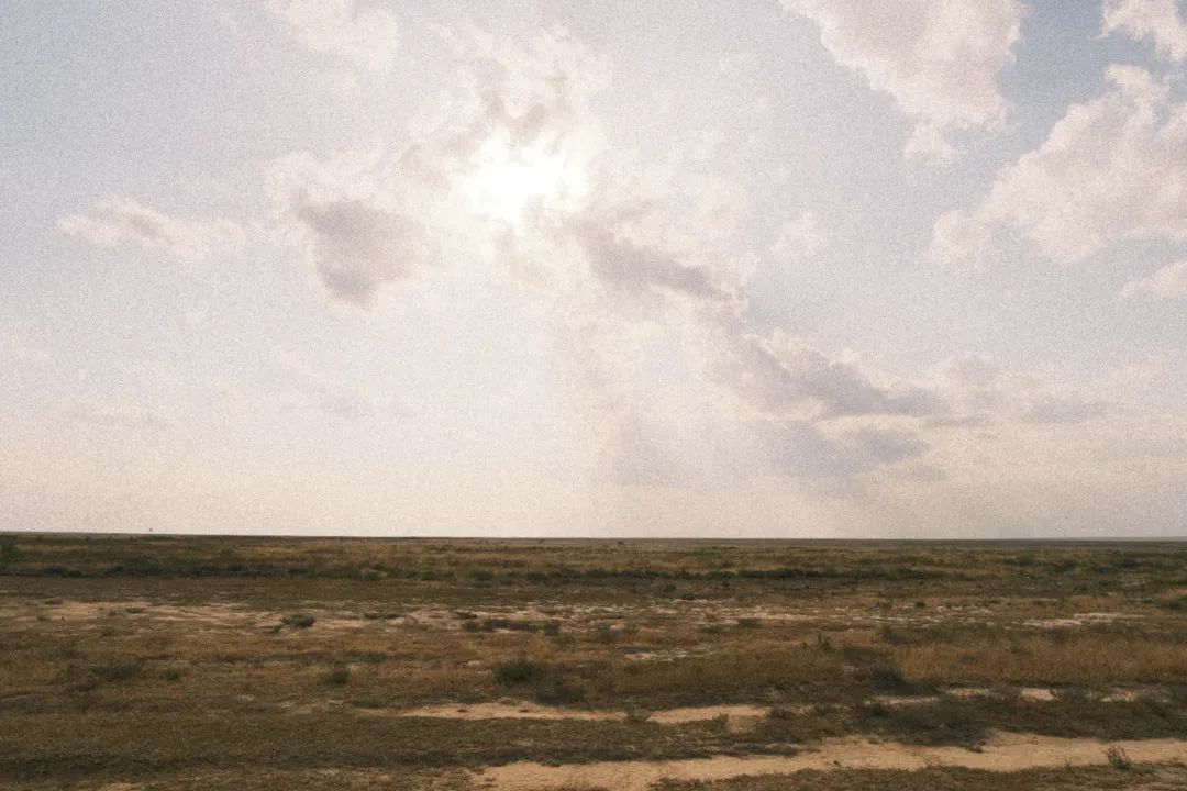 非洲考察1|初抵塞伦盖蒂-3