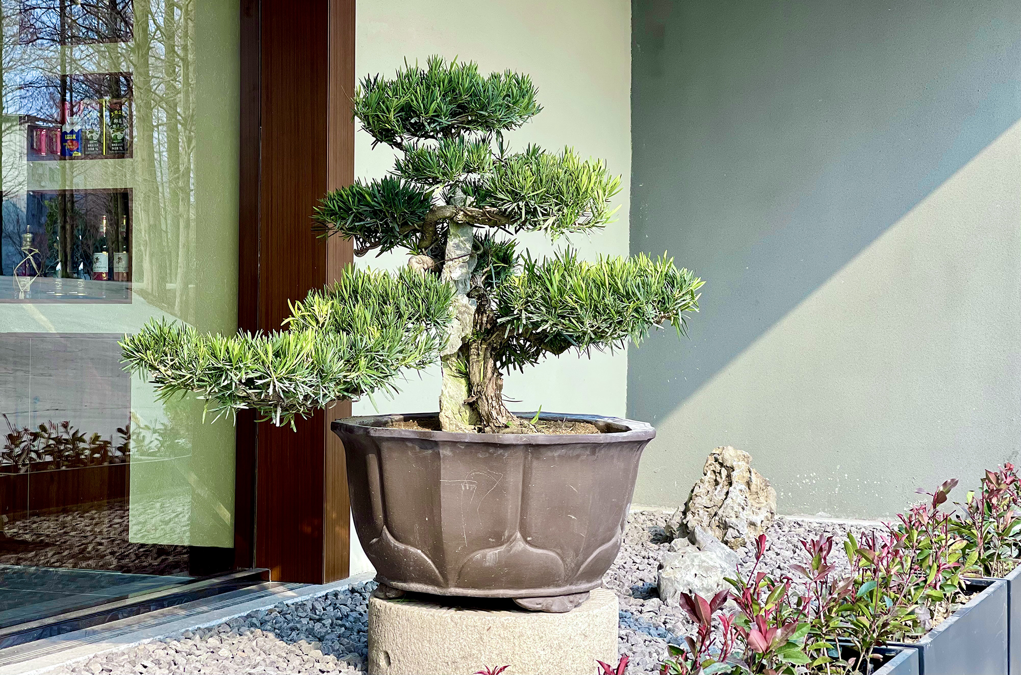 熊先生·萃堤别院丨中国天门丨张文基-10