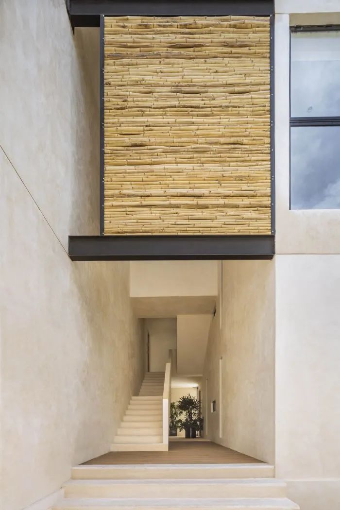 Elisa Wow 公寓丨墨西哥丨Live Desarrollos-14