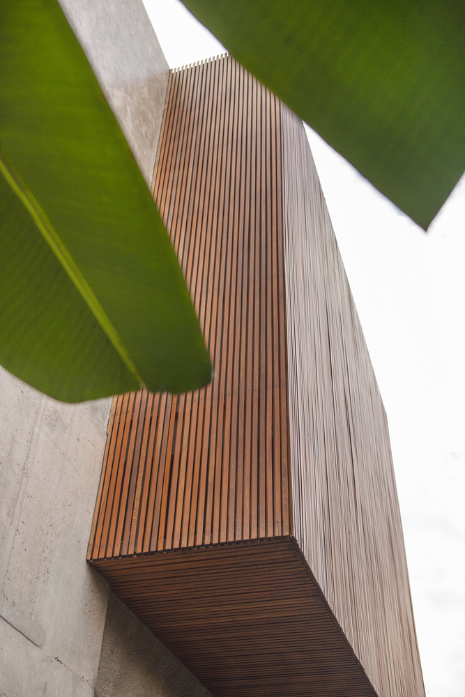 巴西现代主义之家 · 卡拉拉家-54