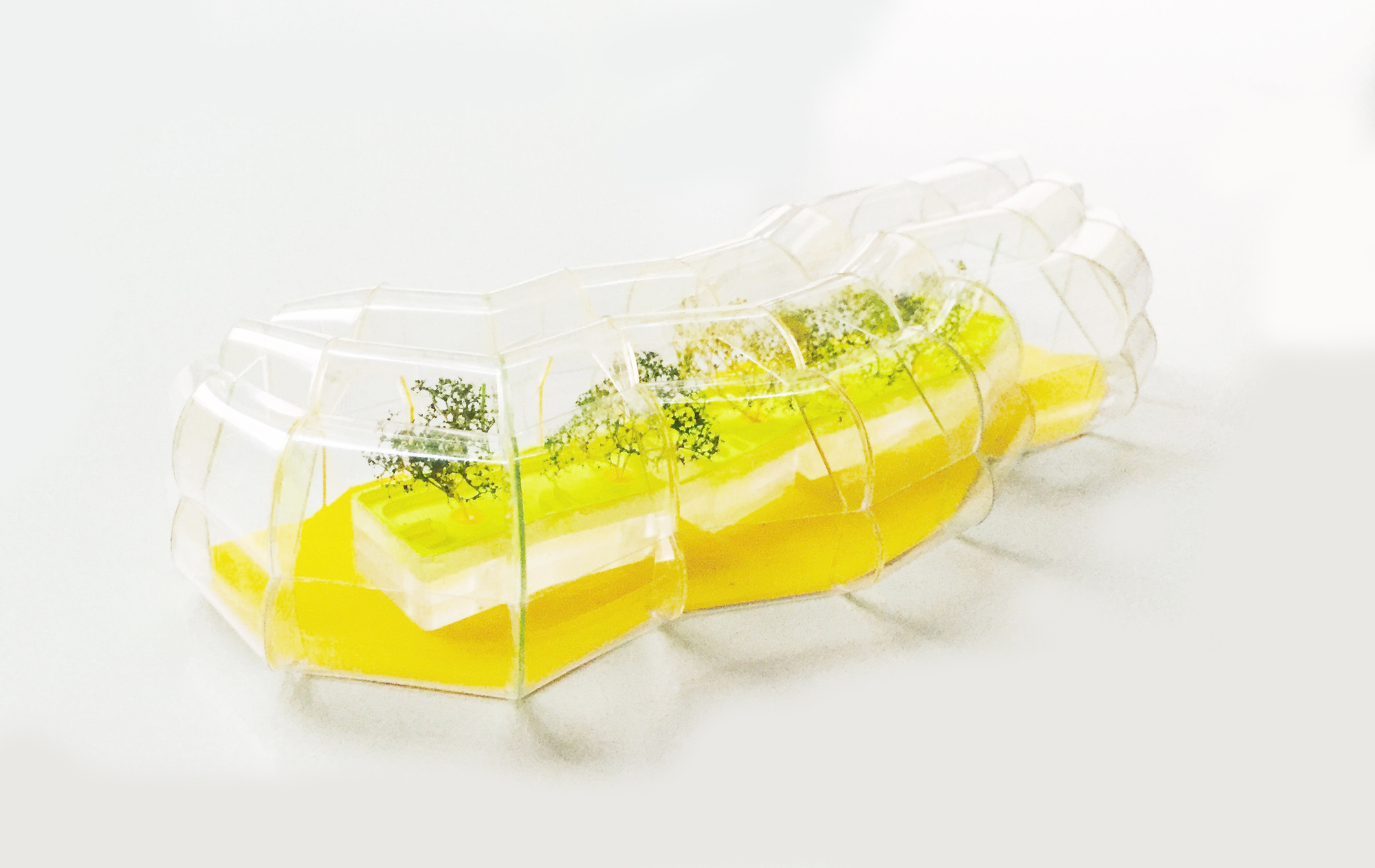 设计区食堂丨英国伦敦丨selgascano-18