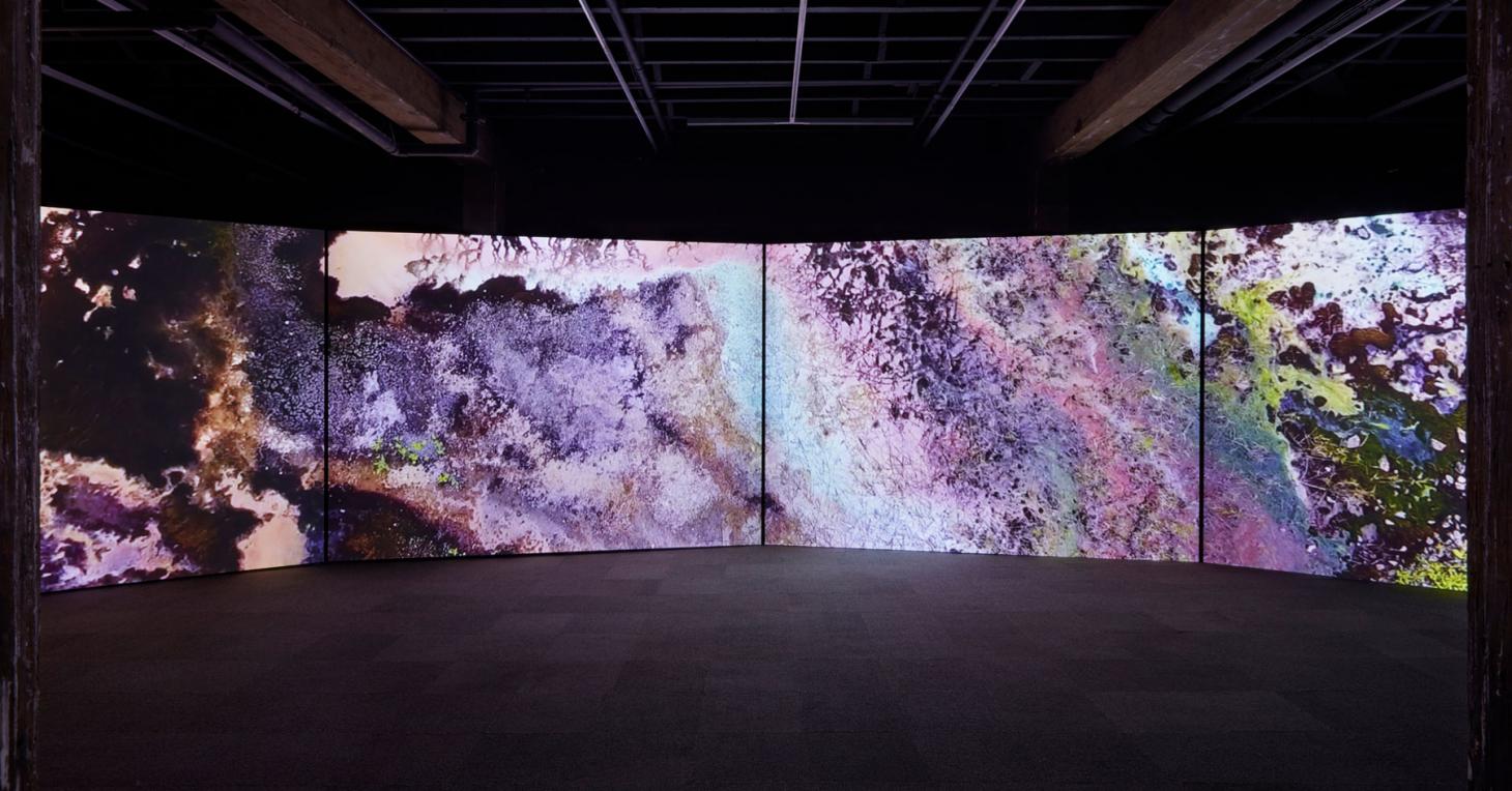 太平洋艺术家 Taloi Havini 首次声作,探索海洋保护与土著历史-5