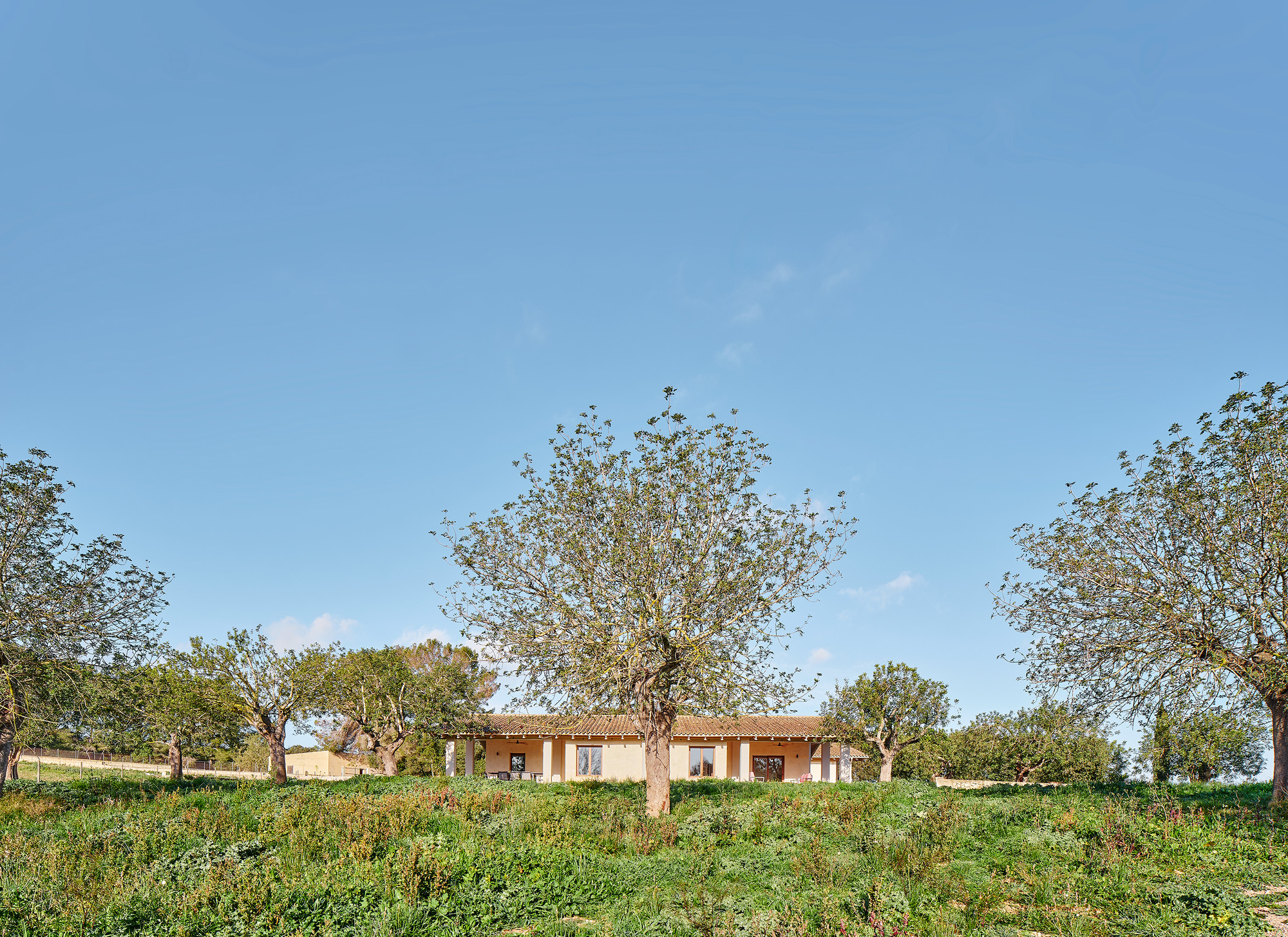 丨西班牙丨MIEL Arquitectos-11