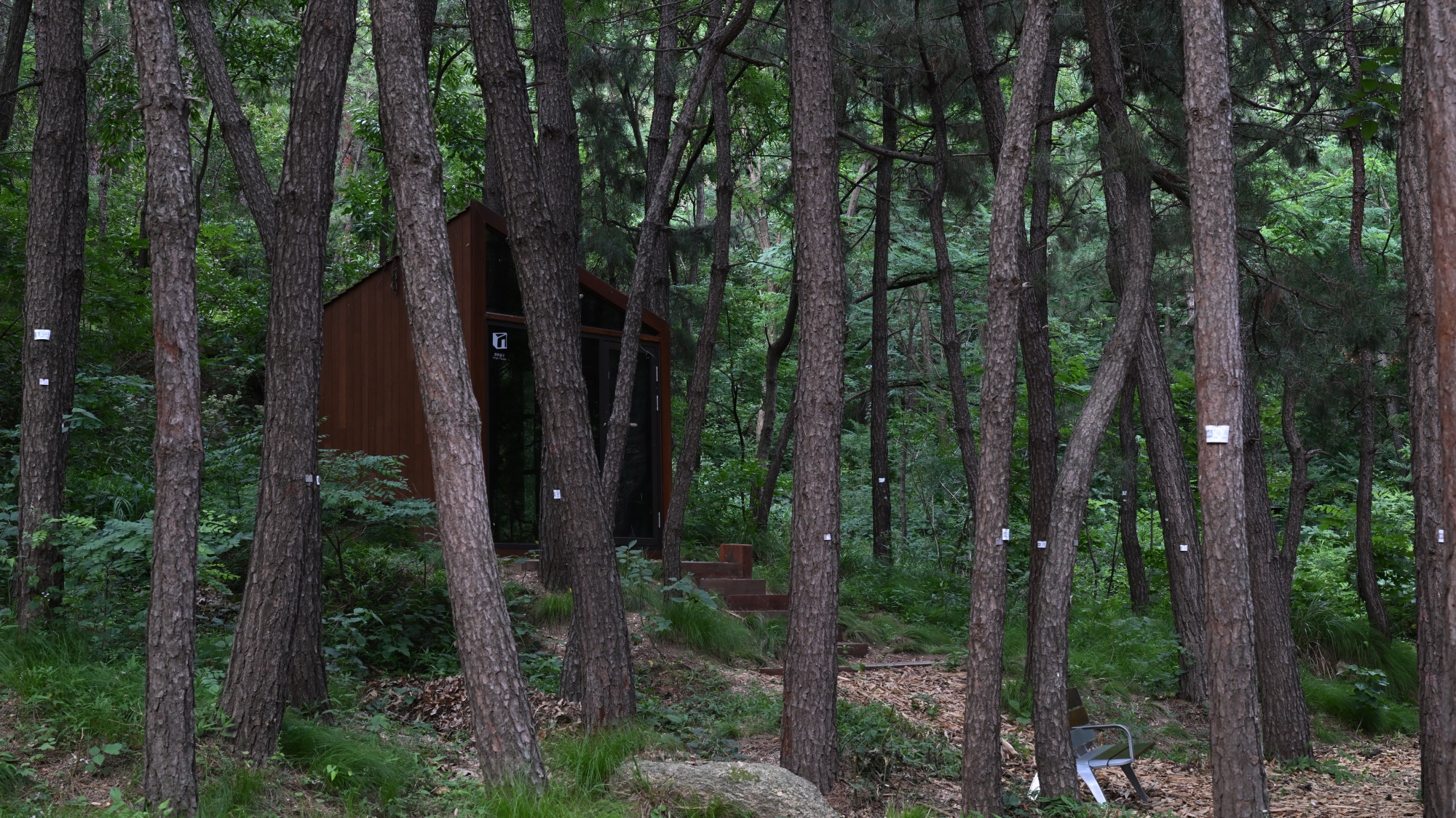 昆嵛山国家级自然保护区基础设施设计项目丨大小景观团队（Atelier Scale）-156