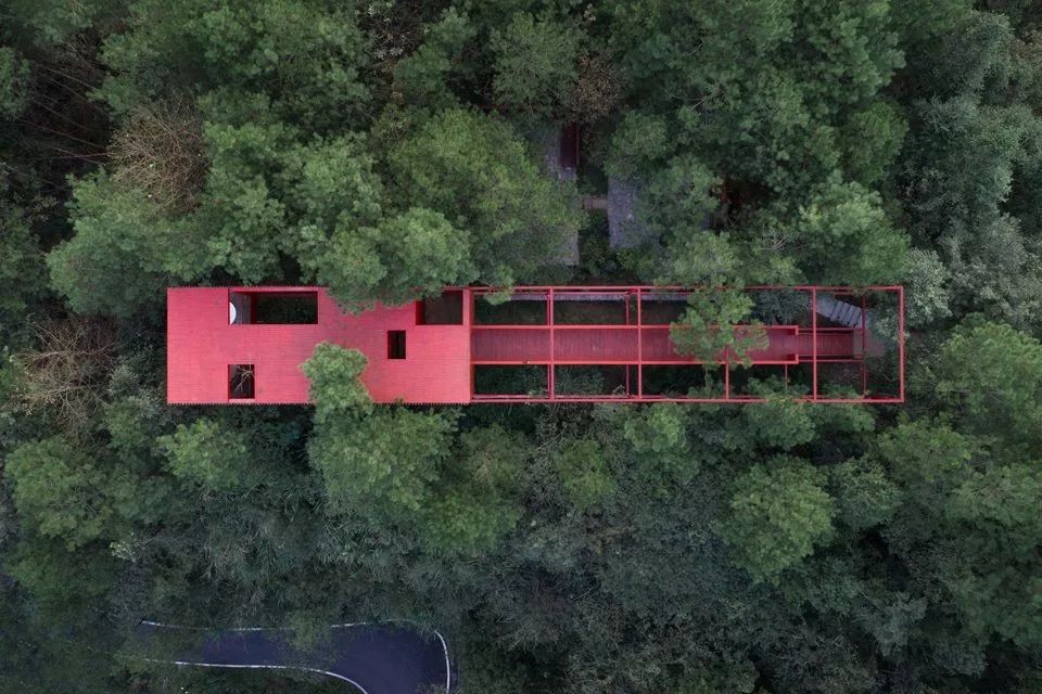 藏匿在深山的民宿：美的就像童话小屋-0