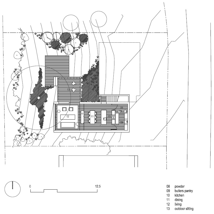 墨尔本斜坡上的绿意住宅-20