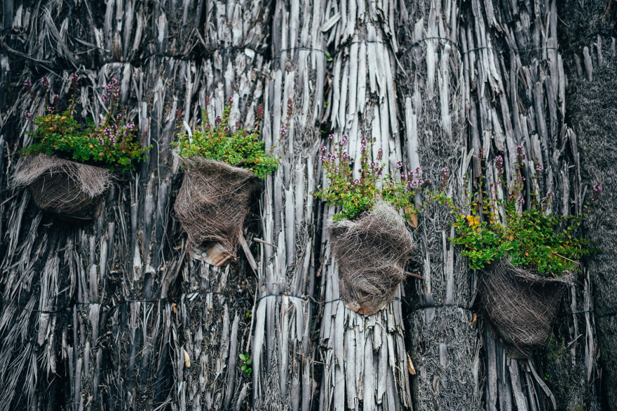 惠灵顿植物园的探索花园——儿童与自然的亲密接触-24