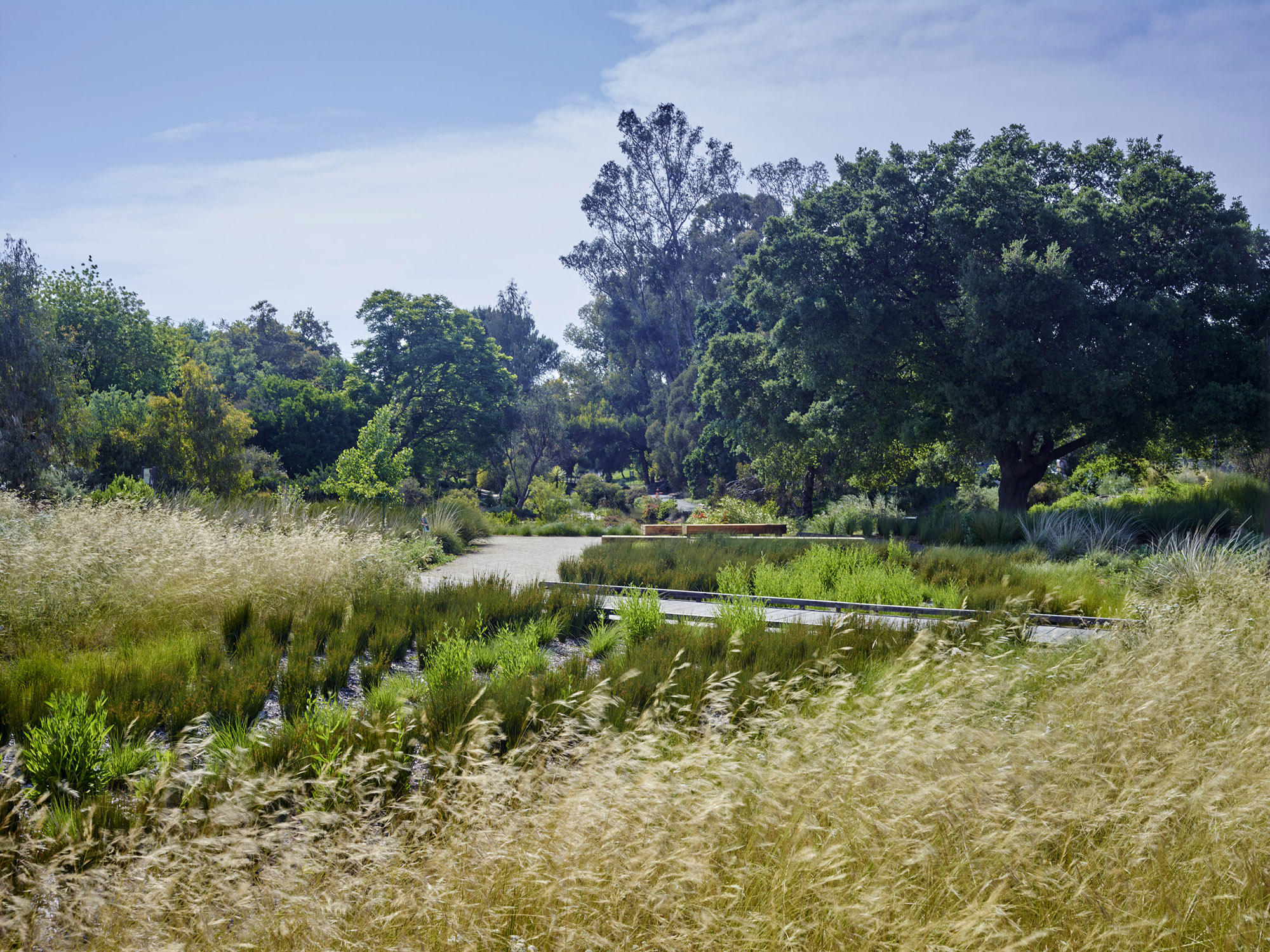 植物园大门的花园 arboretum gateway garden by Lutsko Associates Landscape-6