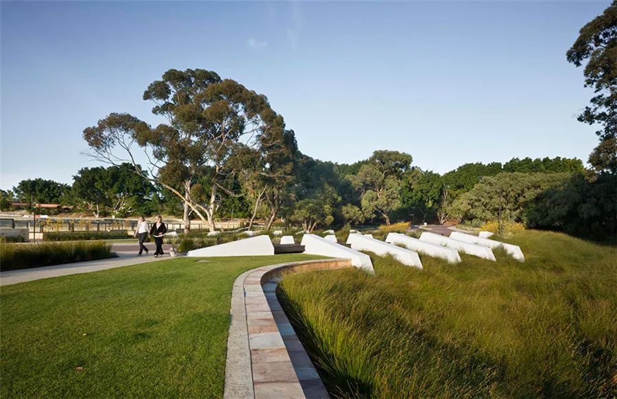 边界植物在景观设计中的妙用-54