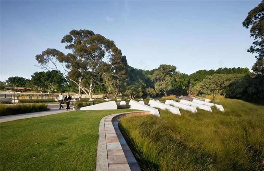 边界植物在景观设计中的妙用-54